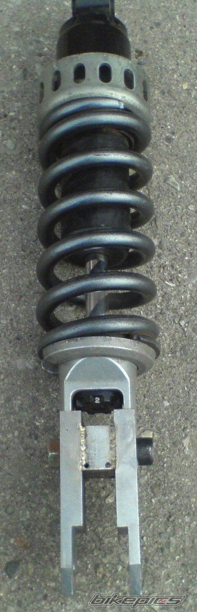 Photo 1270869