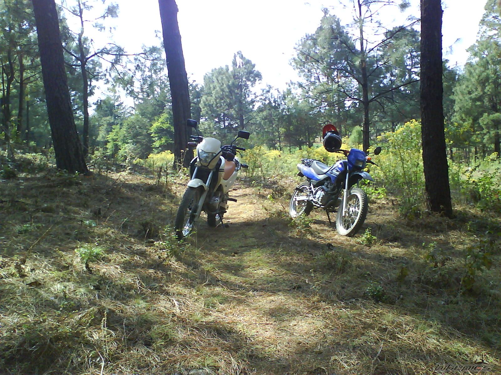Photo 1270890