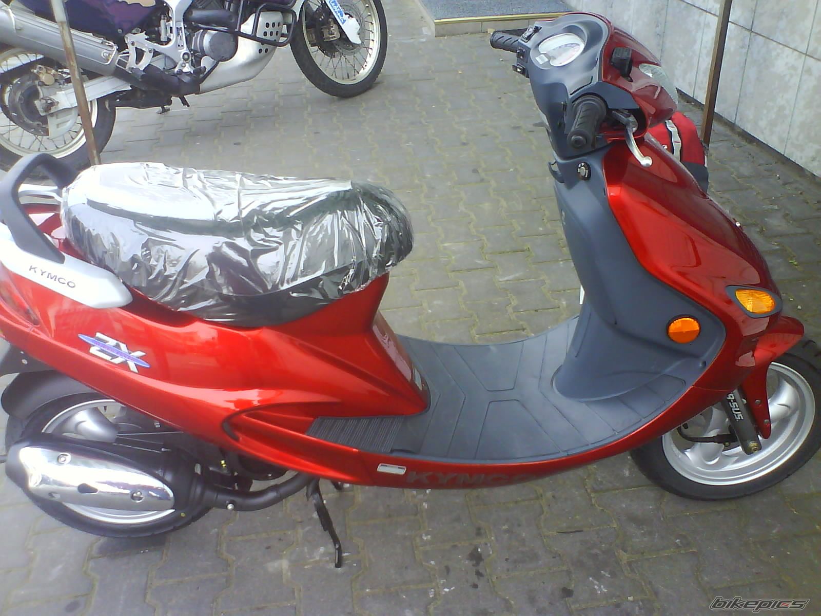 Photo 1270938