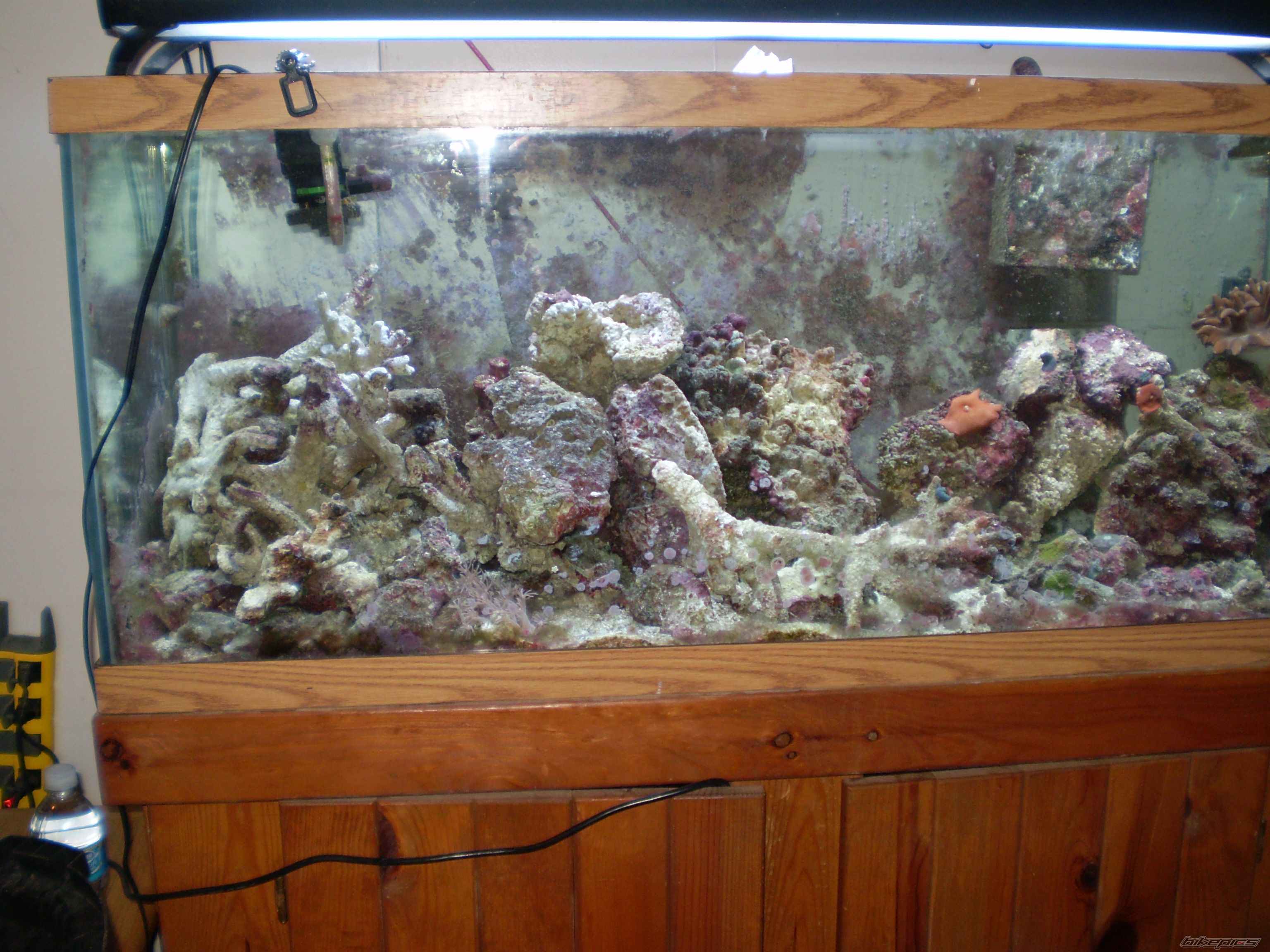 Photo 1270954