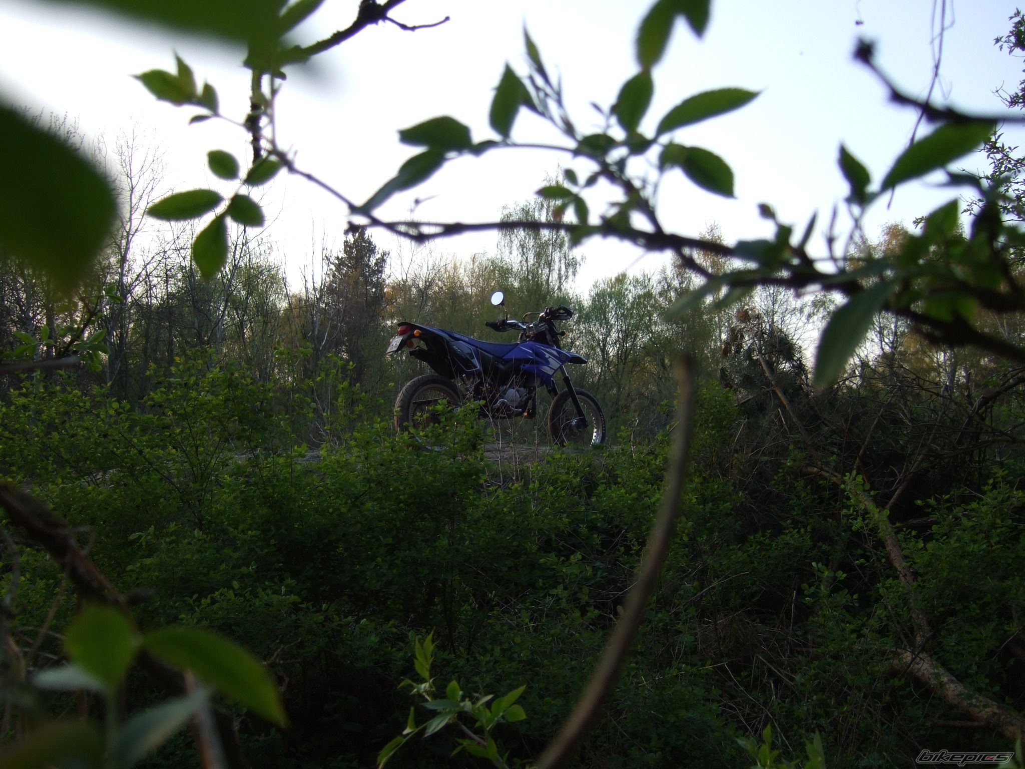 Bike Photo 1271003