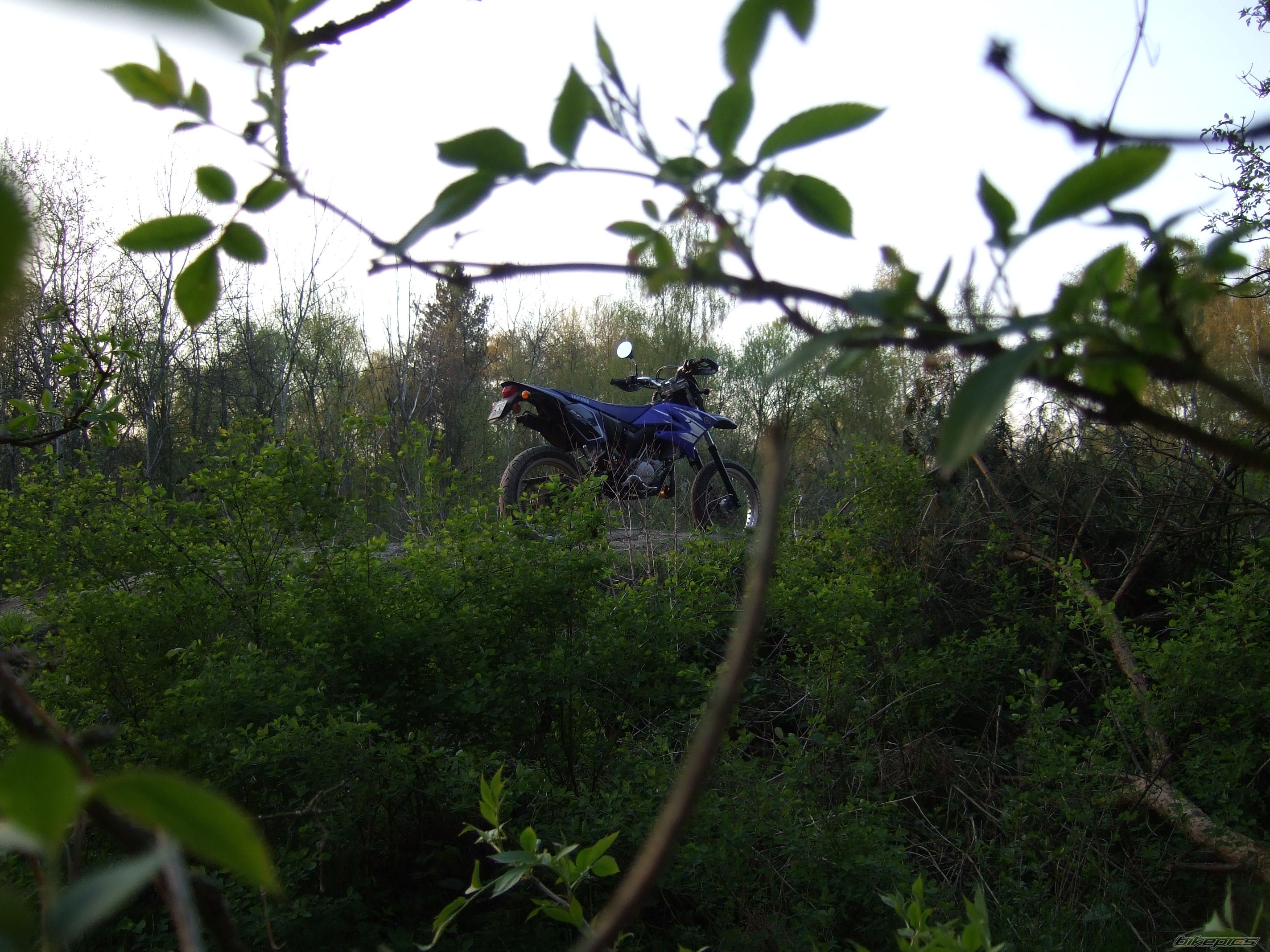 Bike Photo 1271006