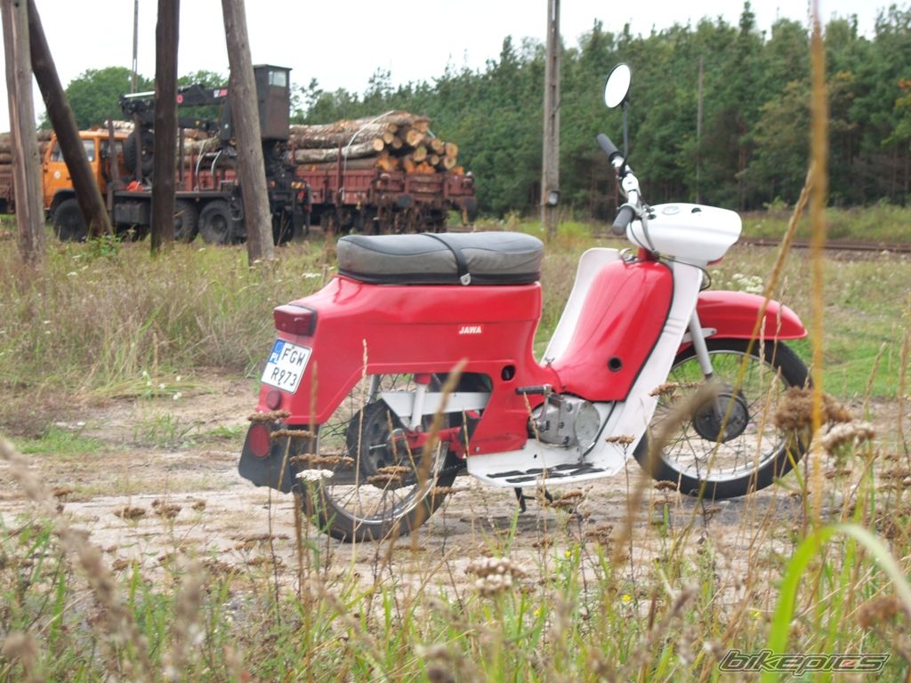 Photo 1271032