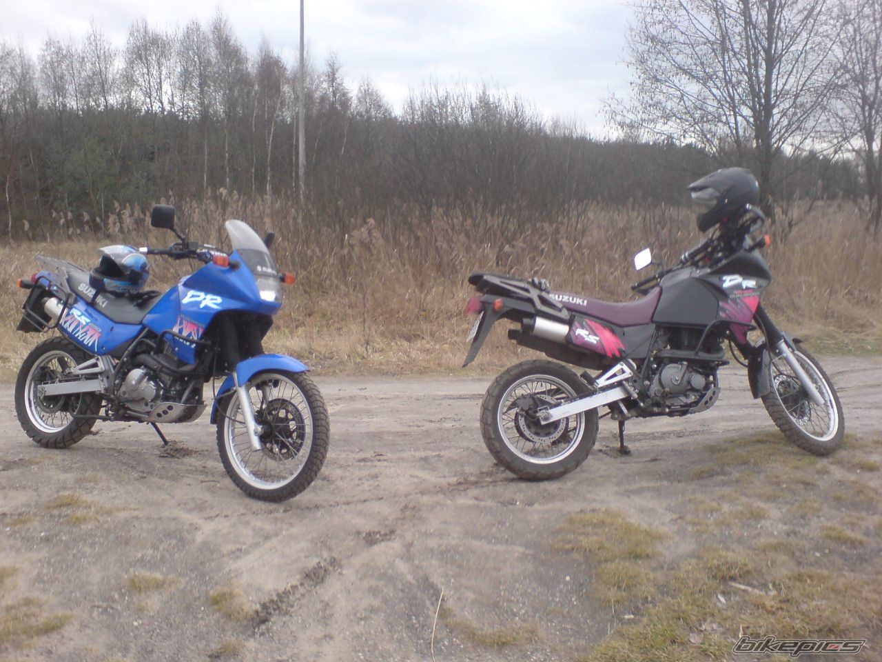 Photo 1271051