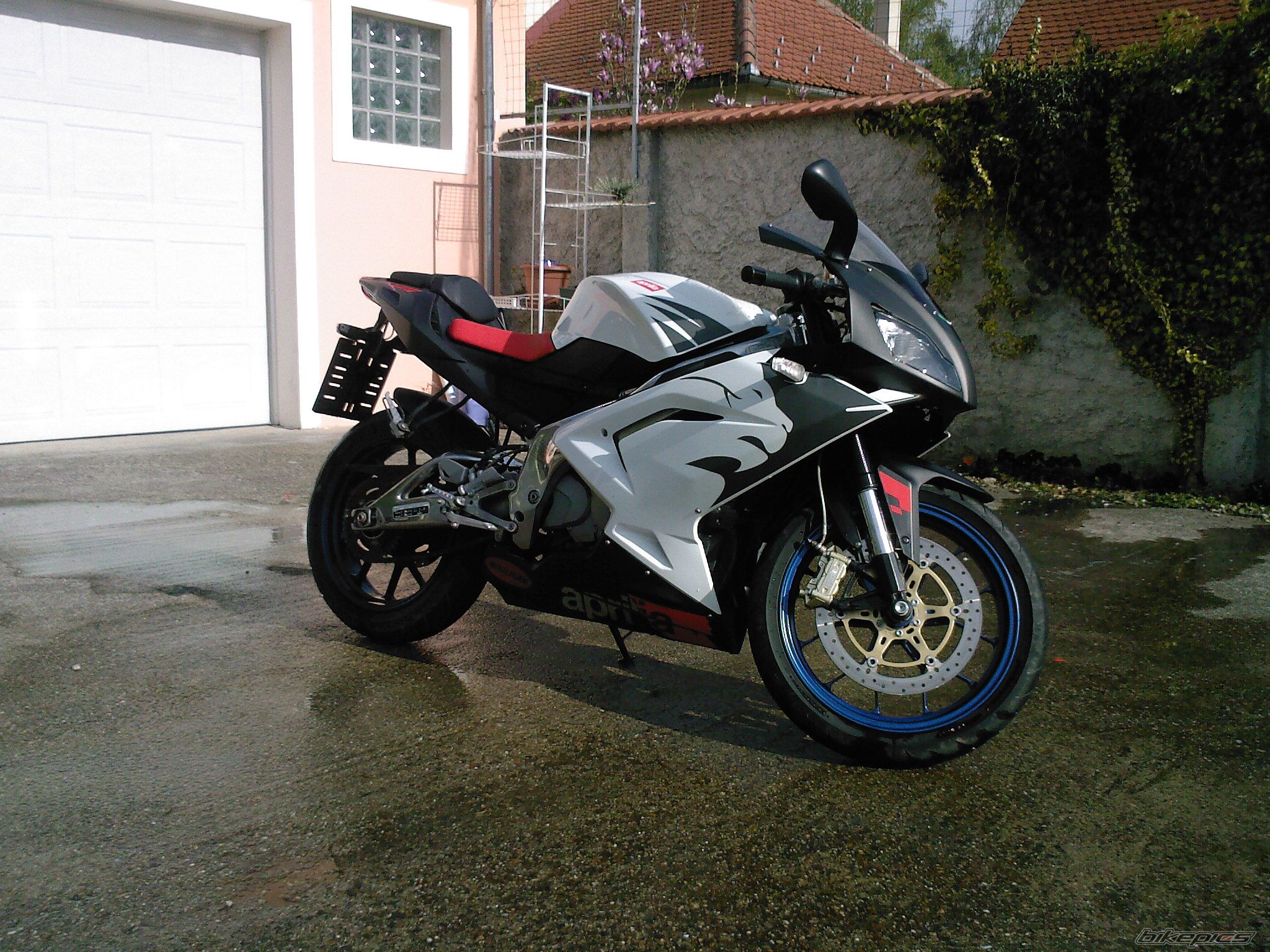 Photo 1271132