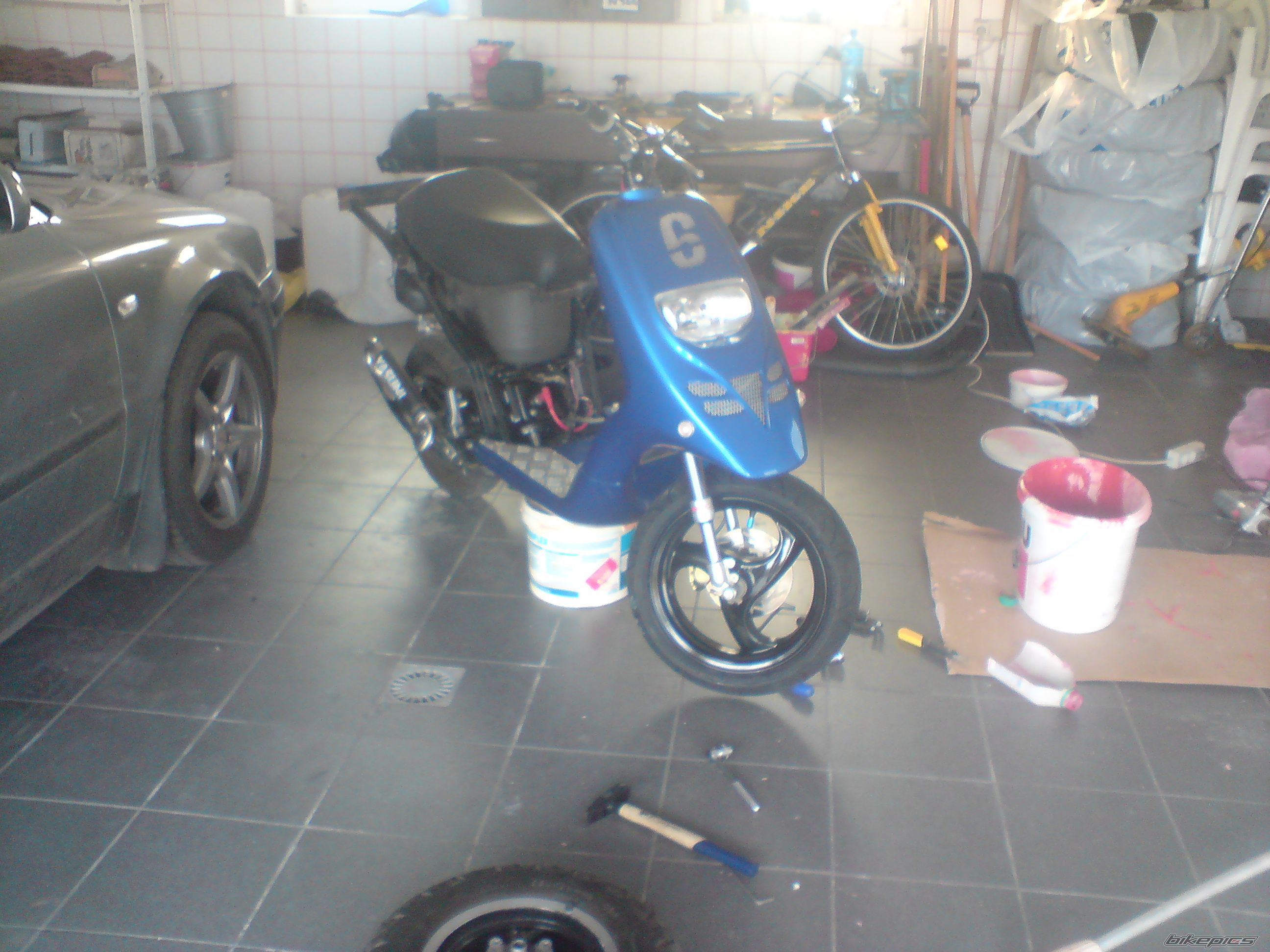 Photo 1271212