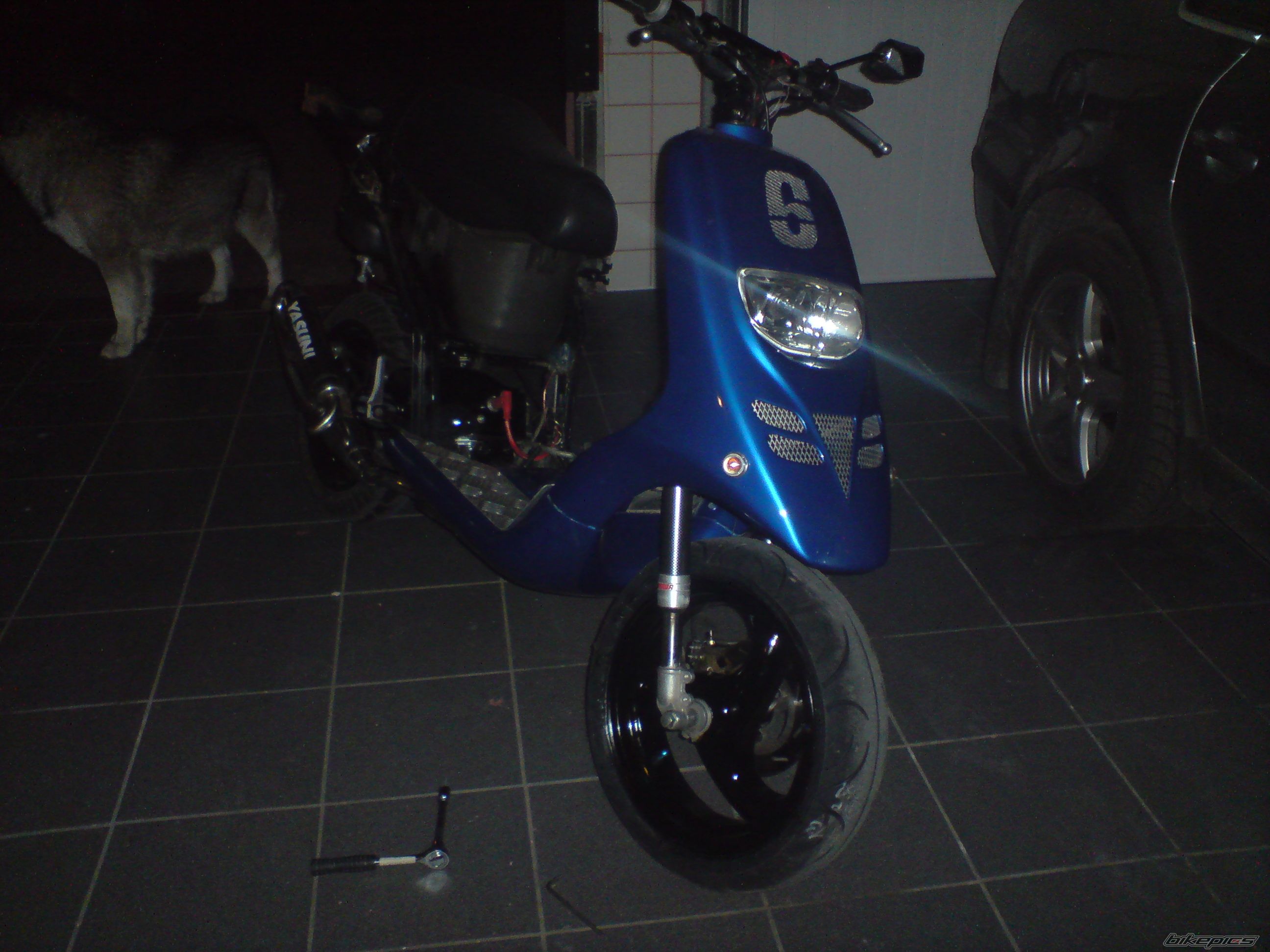 Photo 1271222