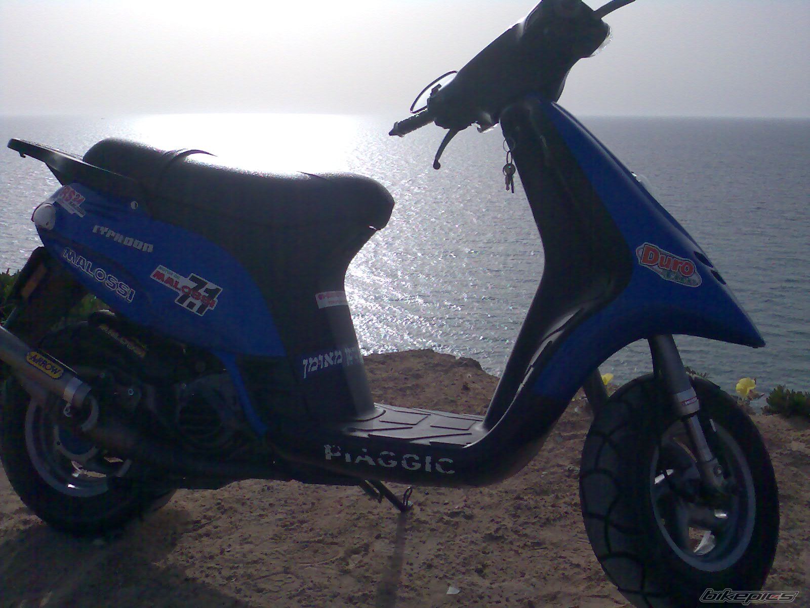 Photo 1271275
