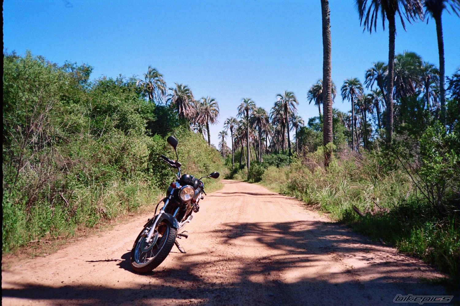 Photo 1271423