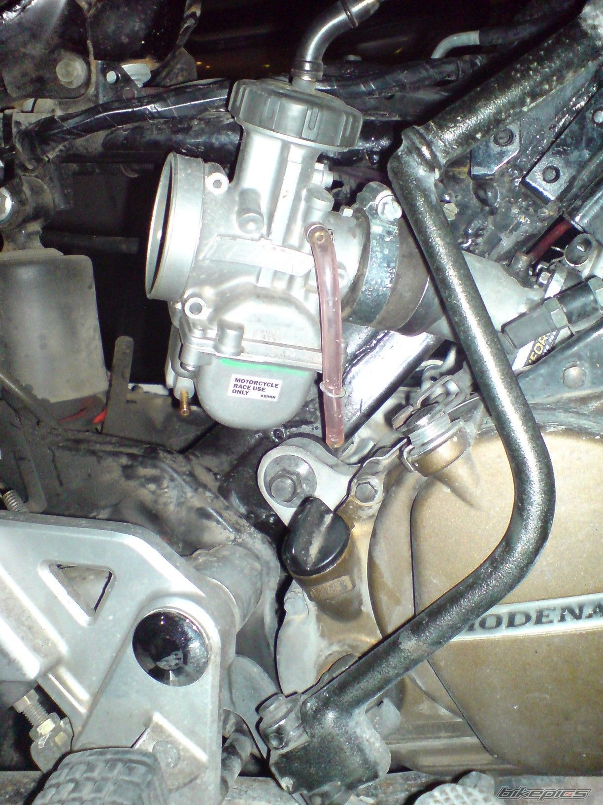 Photo 1271433
