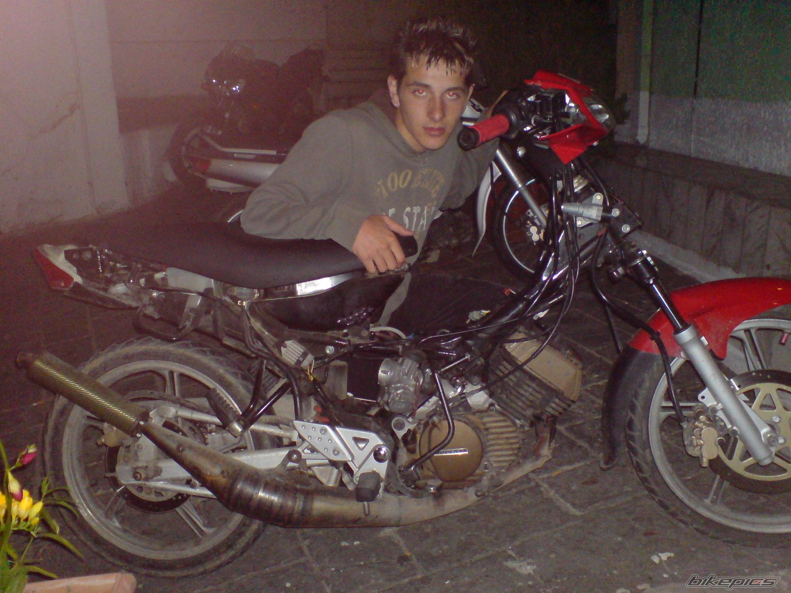 Photo 1271438