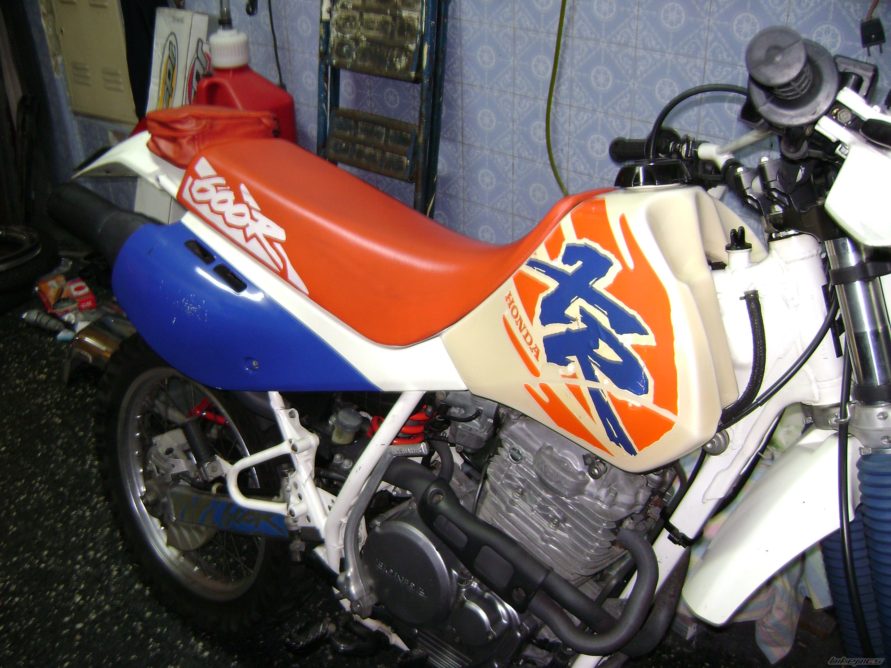Photo 1271463