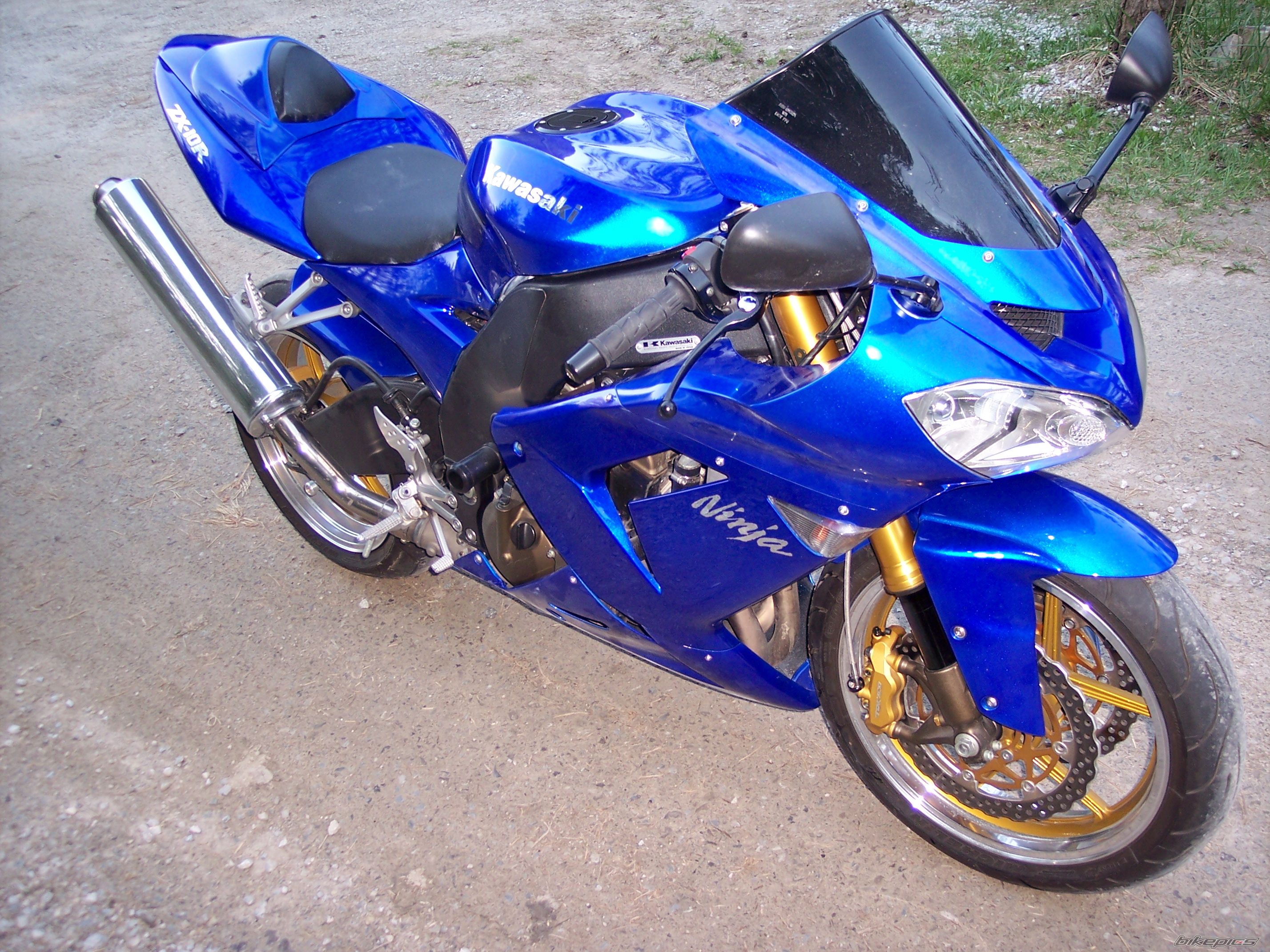 Photo 1271464