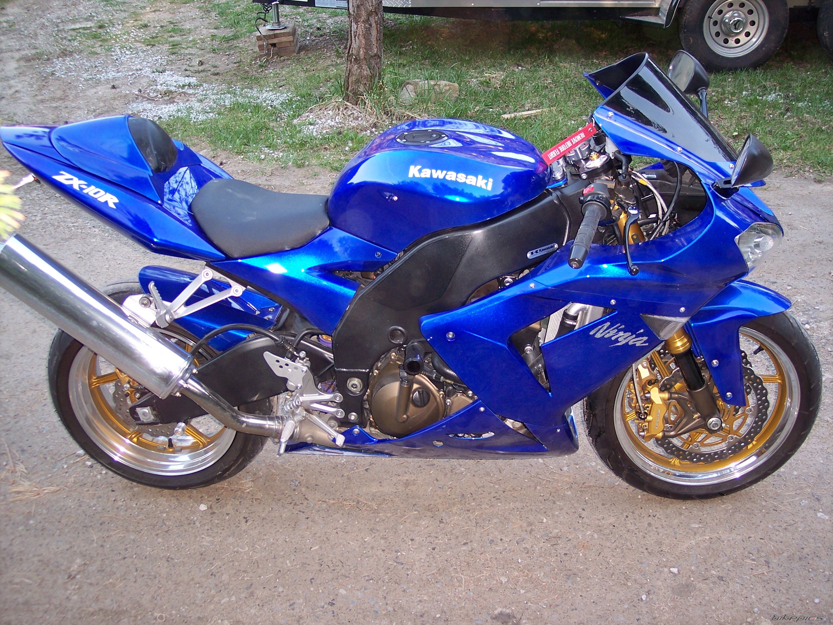 Photo 1271465