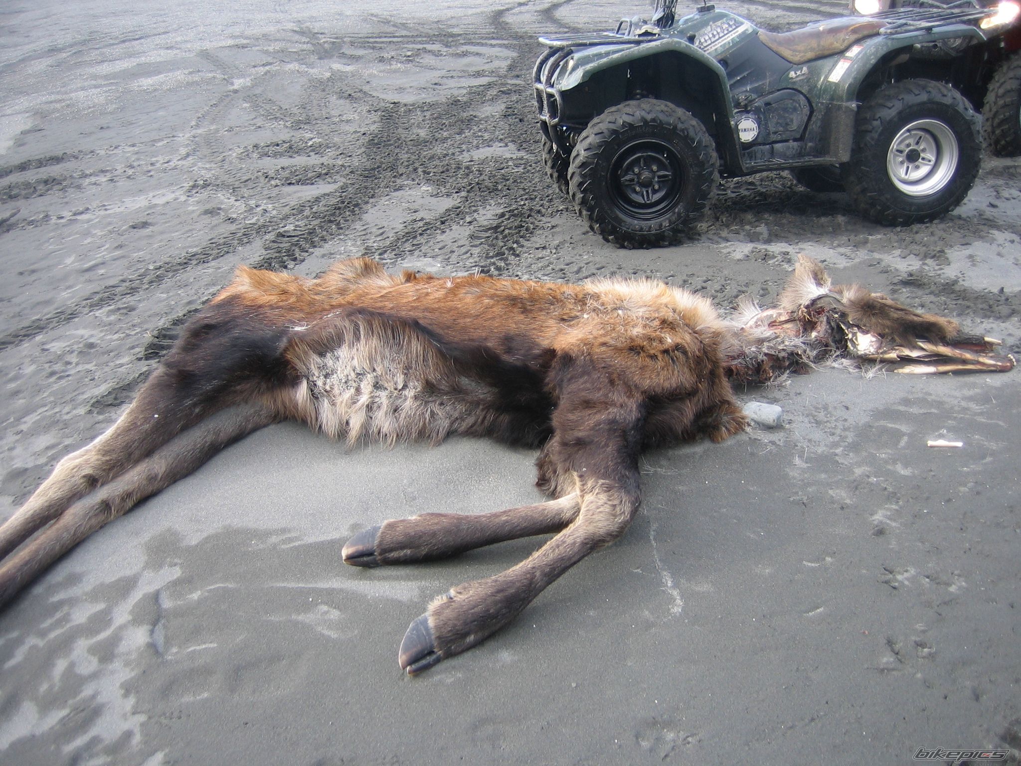 Photo 1271493
