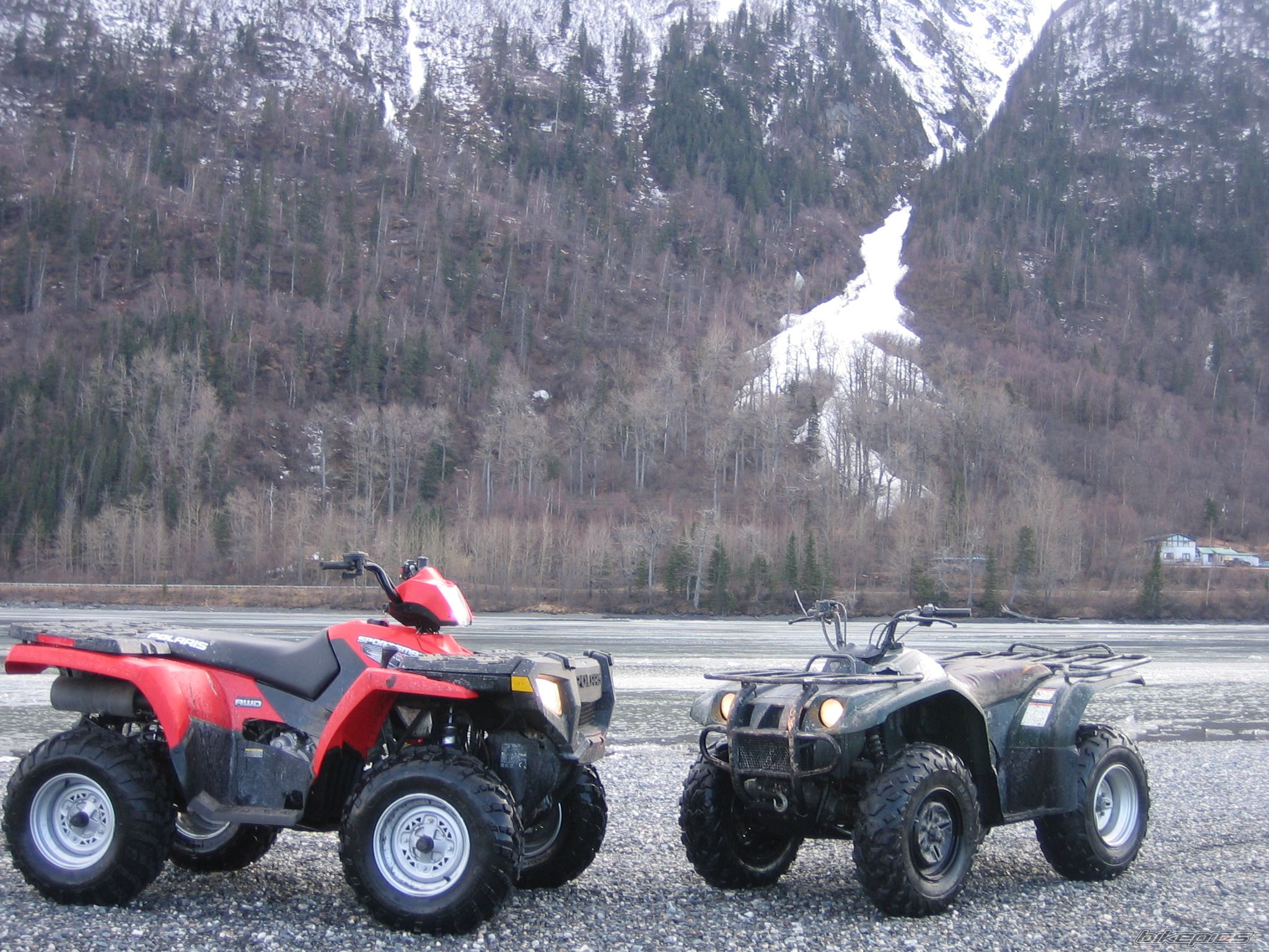 Photo 1271497
