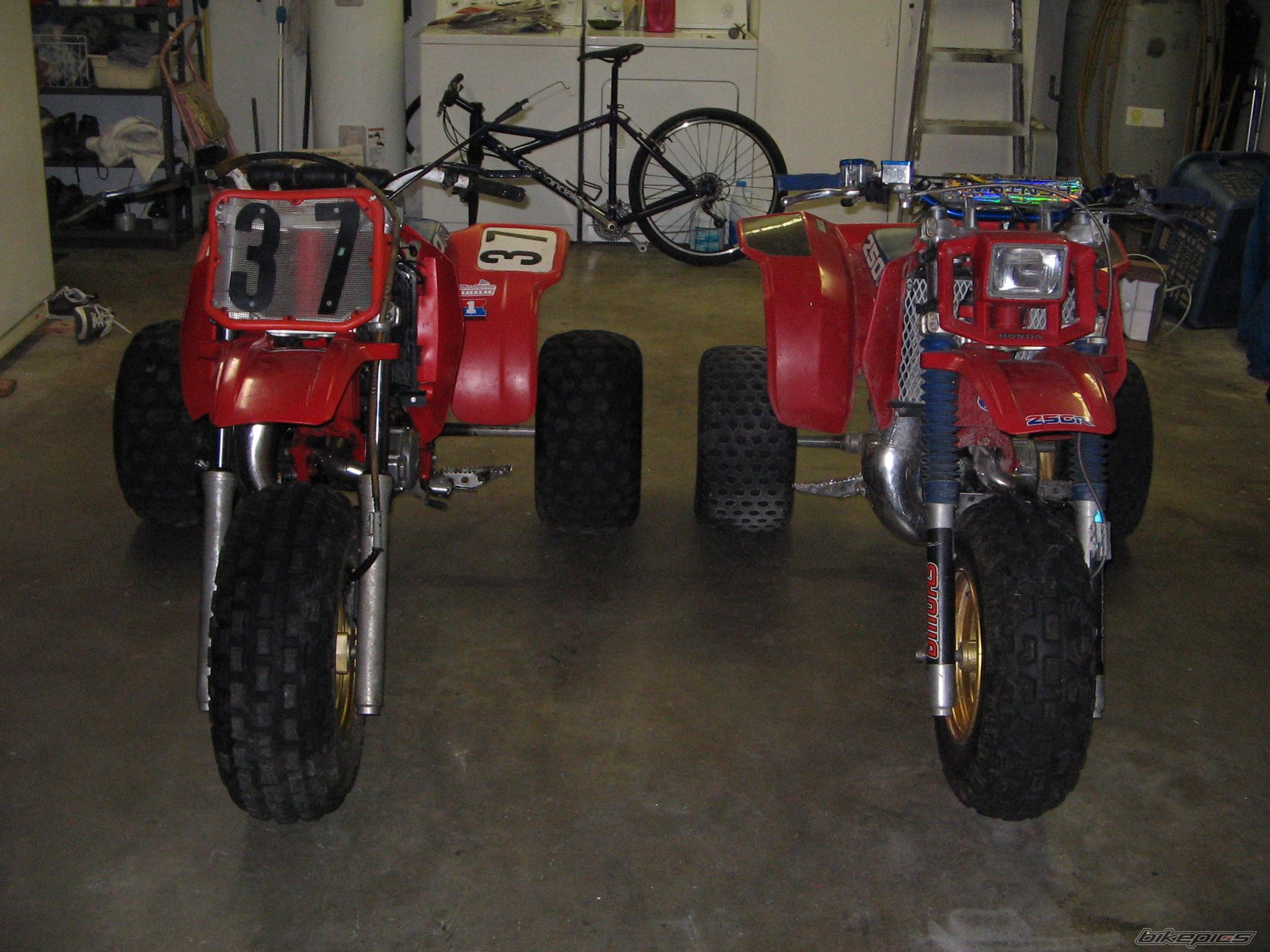 Photo 1271512
