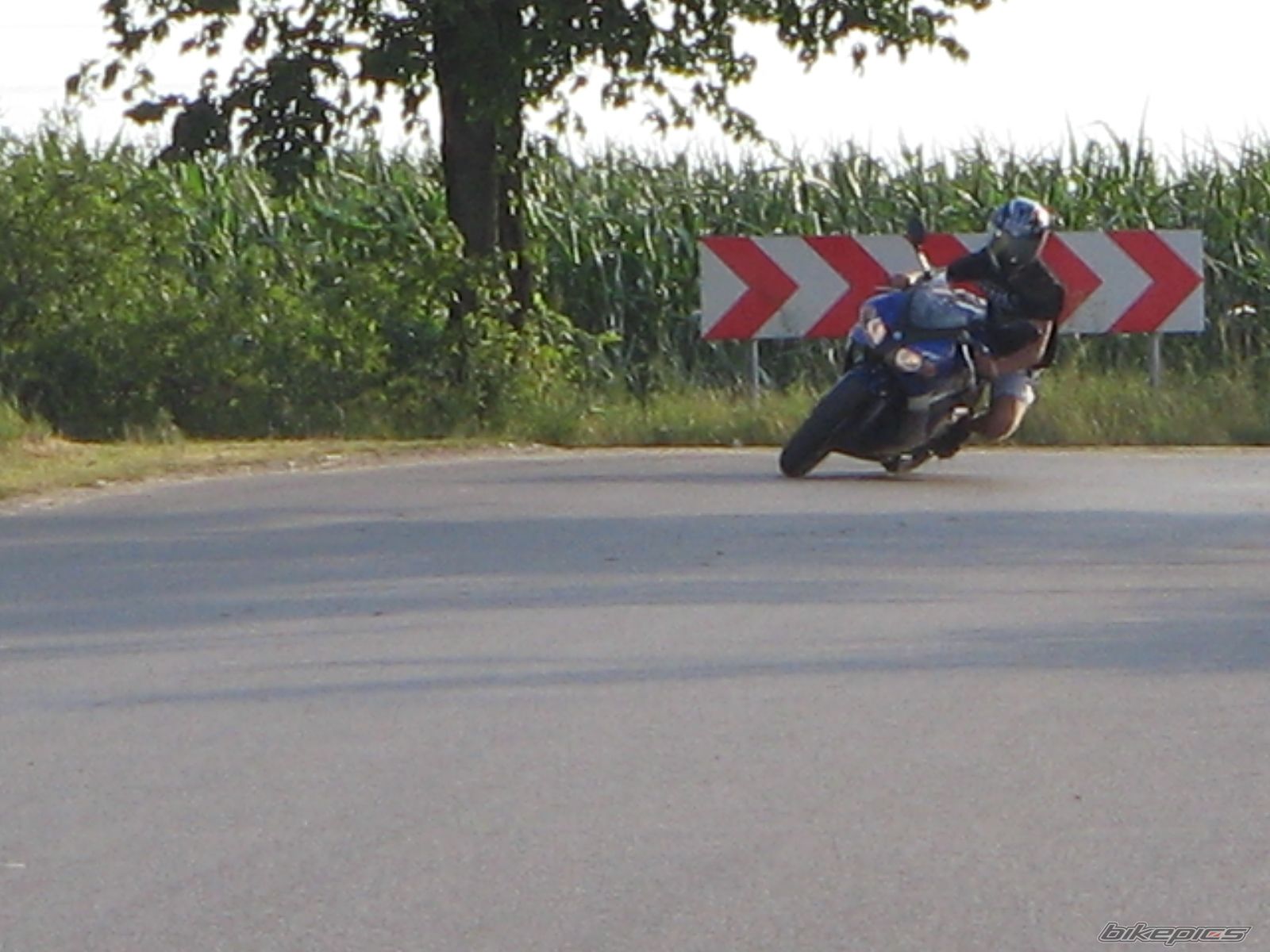 Photo 1271582