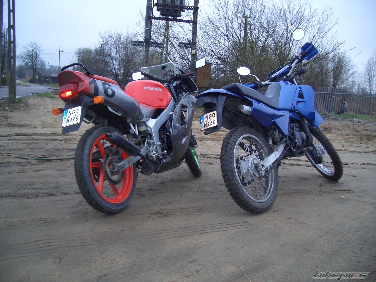 Photo 1271613