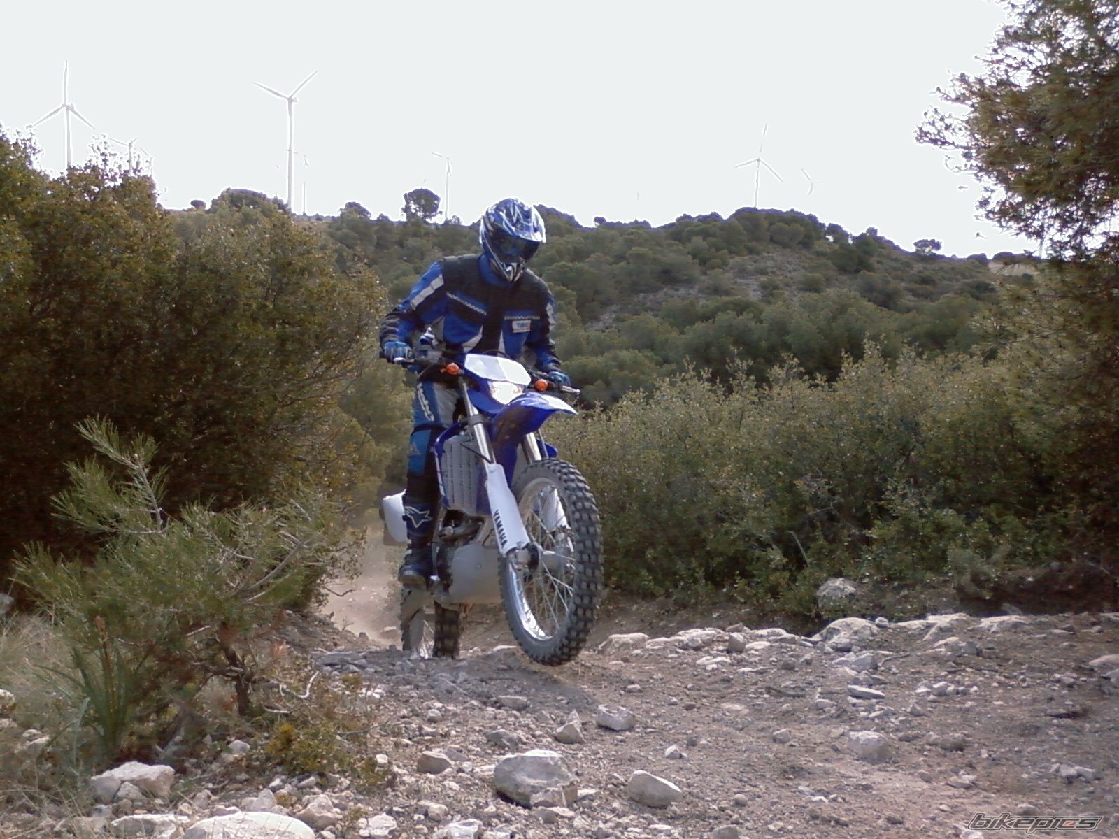 Bike Photo 1271616