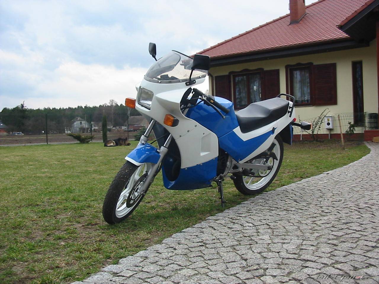 Bike Photo 127163