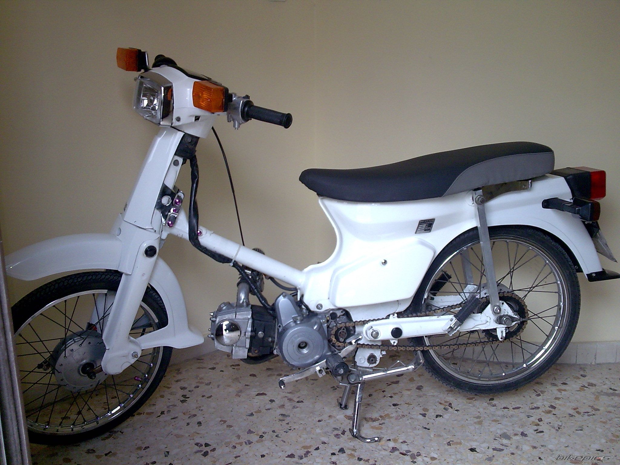 Photo 1271763