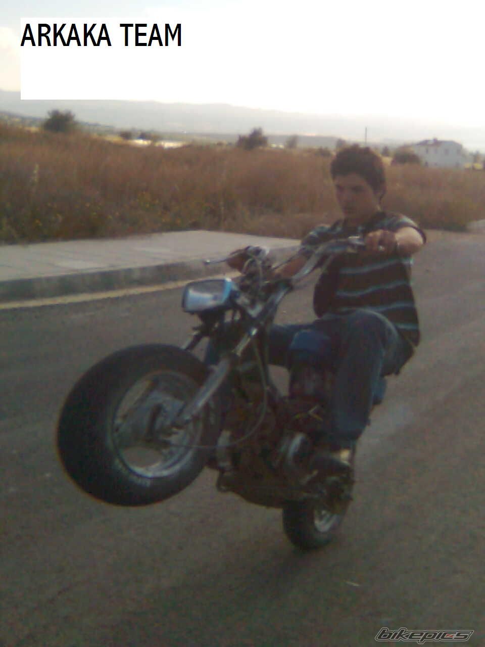 Photo 1271772