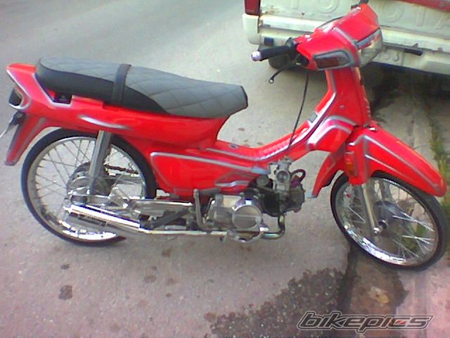 Photo 1271779