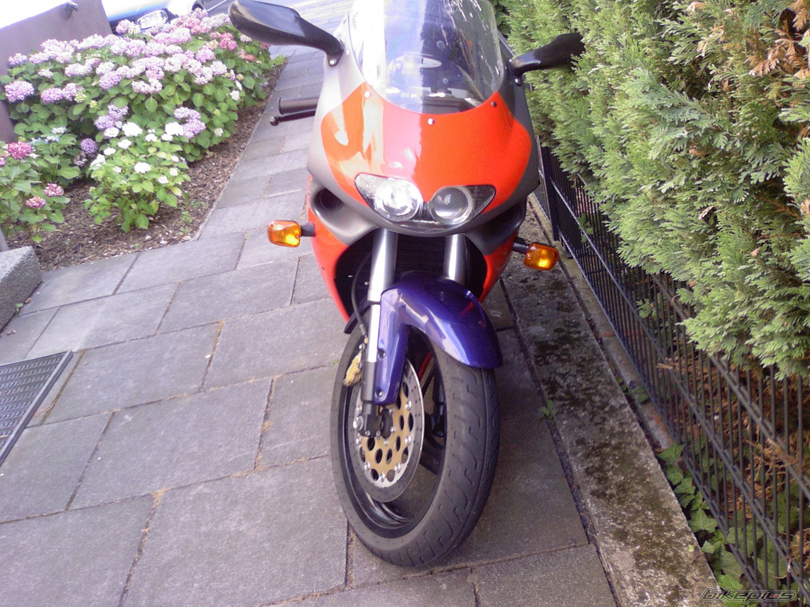 Photo 1271831