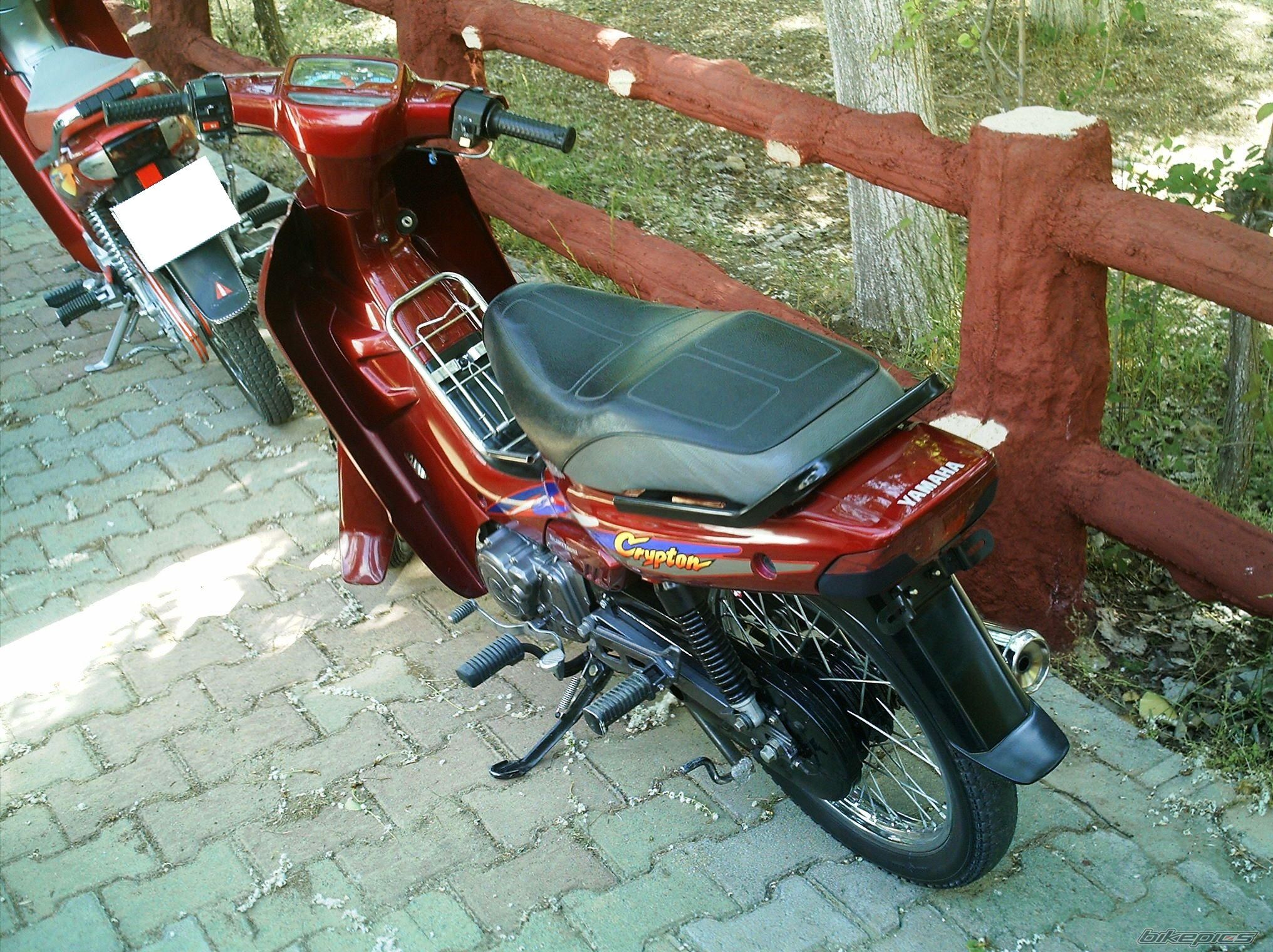 Photo 1271833