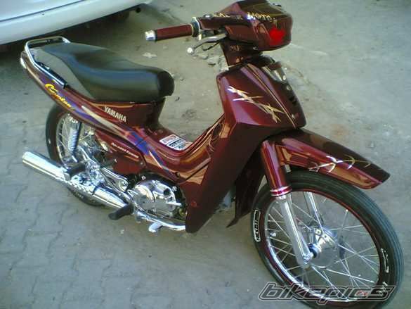 Photo 1271860