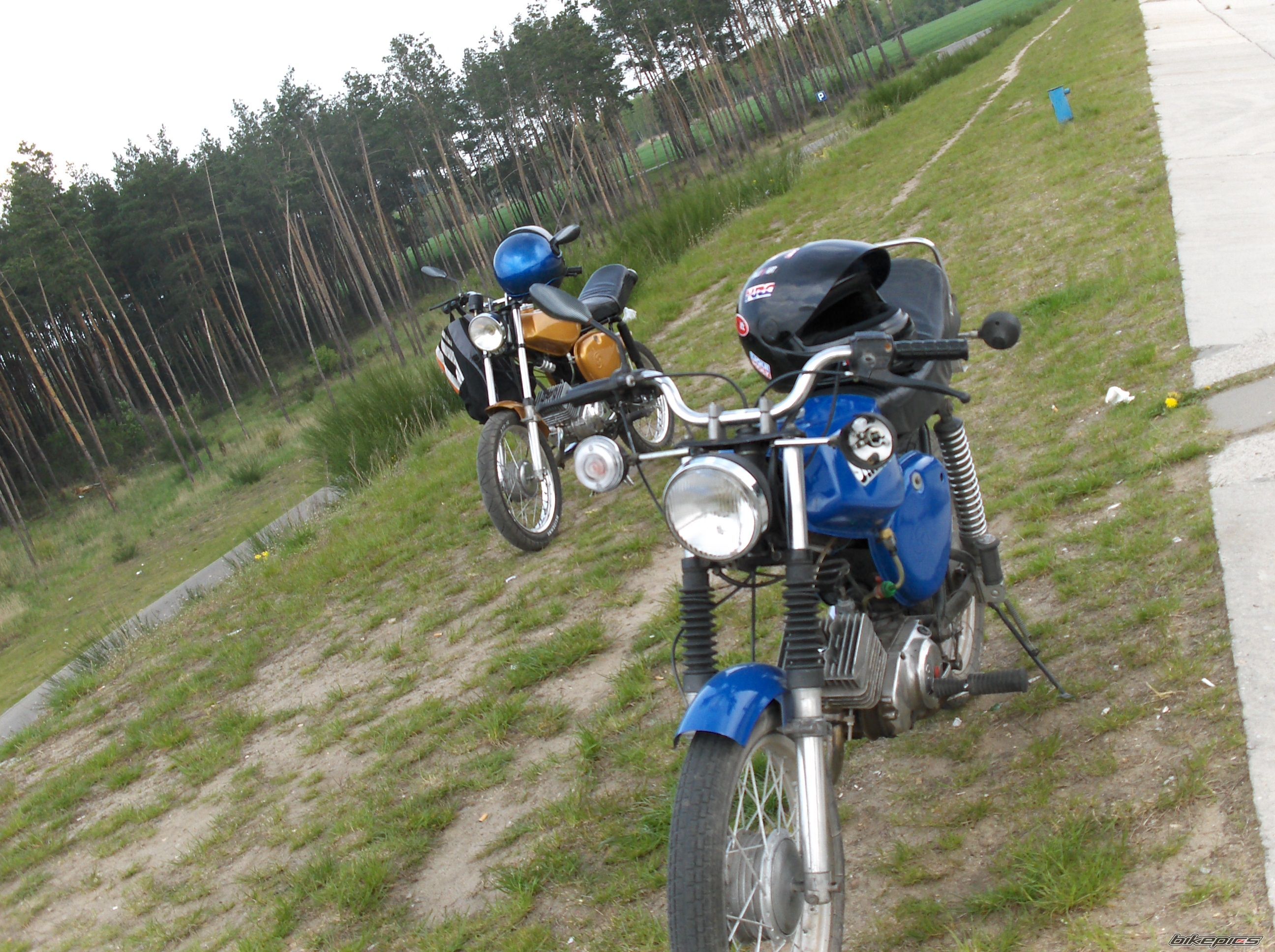 Photo 1271879