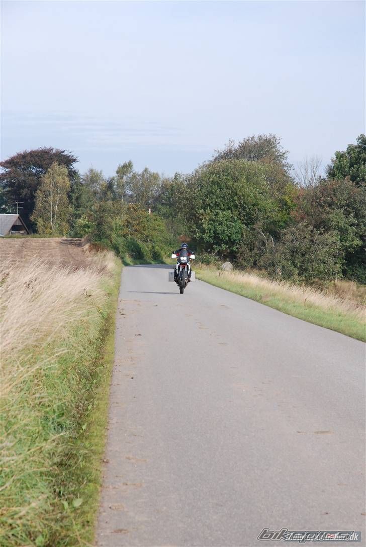 Photo 1271880