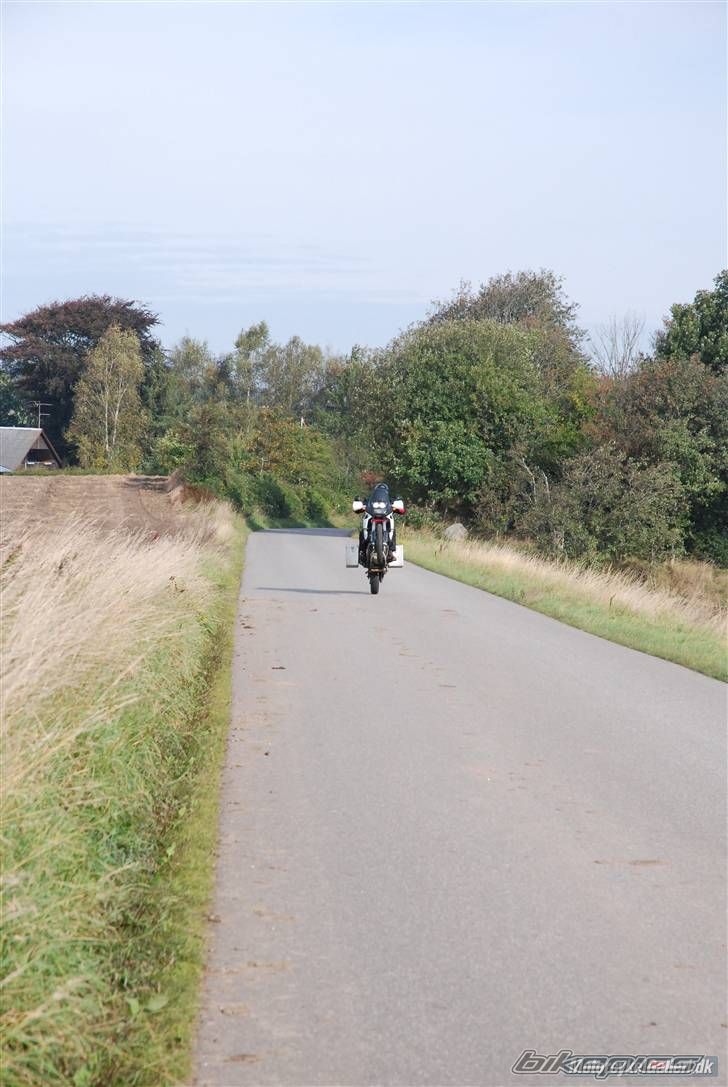 Photo 1271881