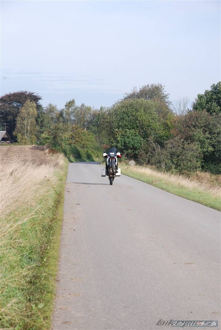 Photo 1271882
