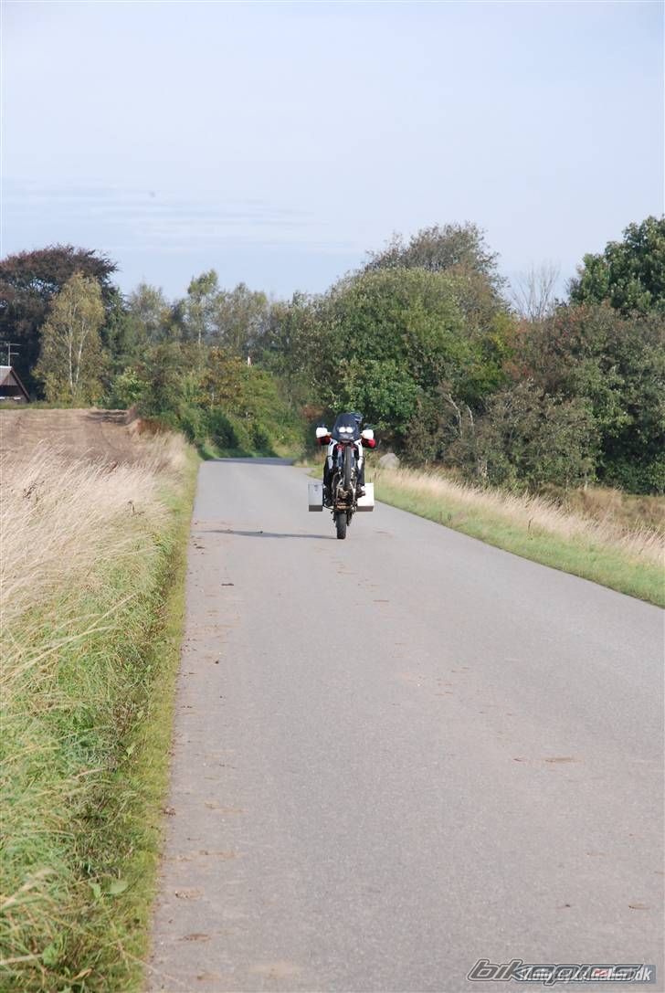 Photo 1271883