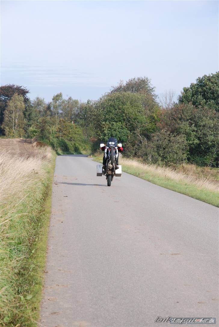 Photo 1271885