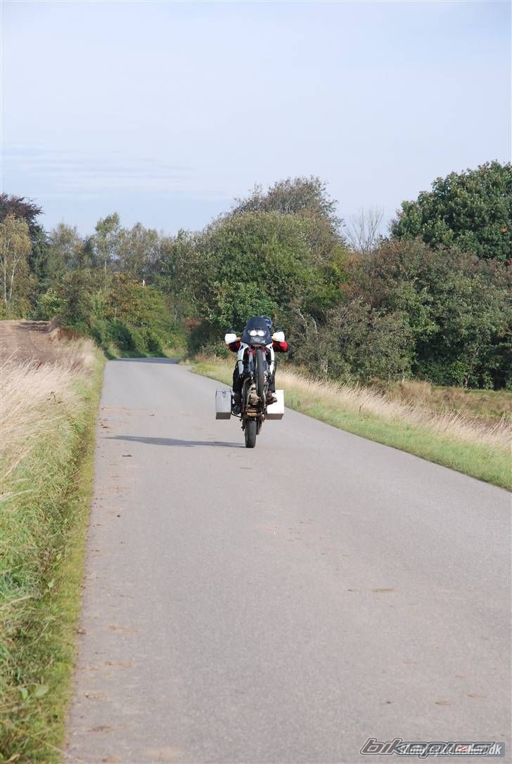 Photo 1271886