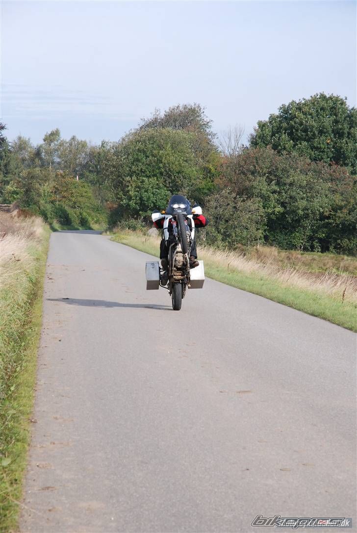 Photo 1271887