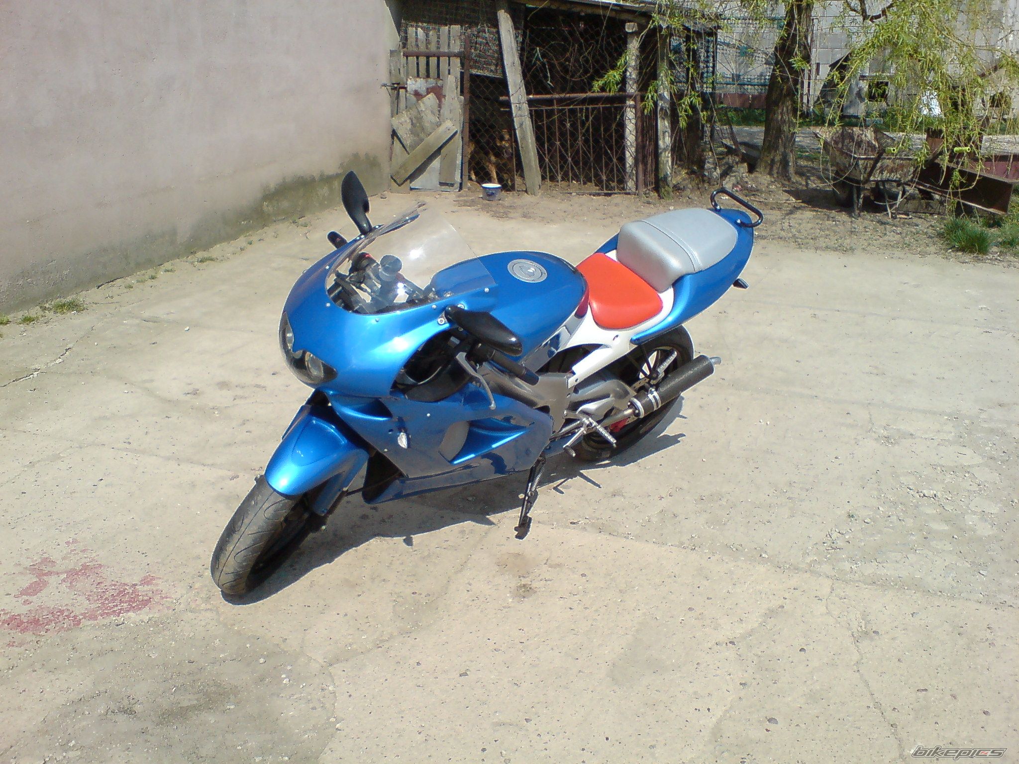Photo 1271916