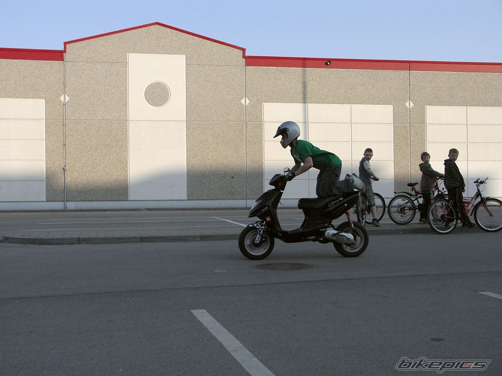 Photo 1271959
