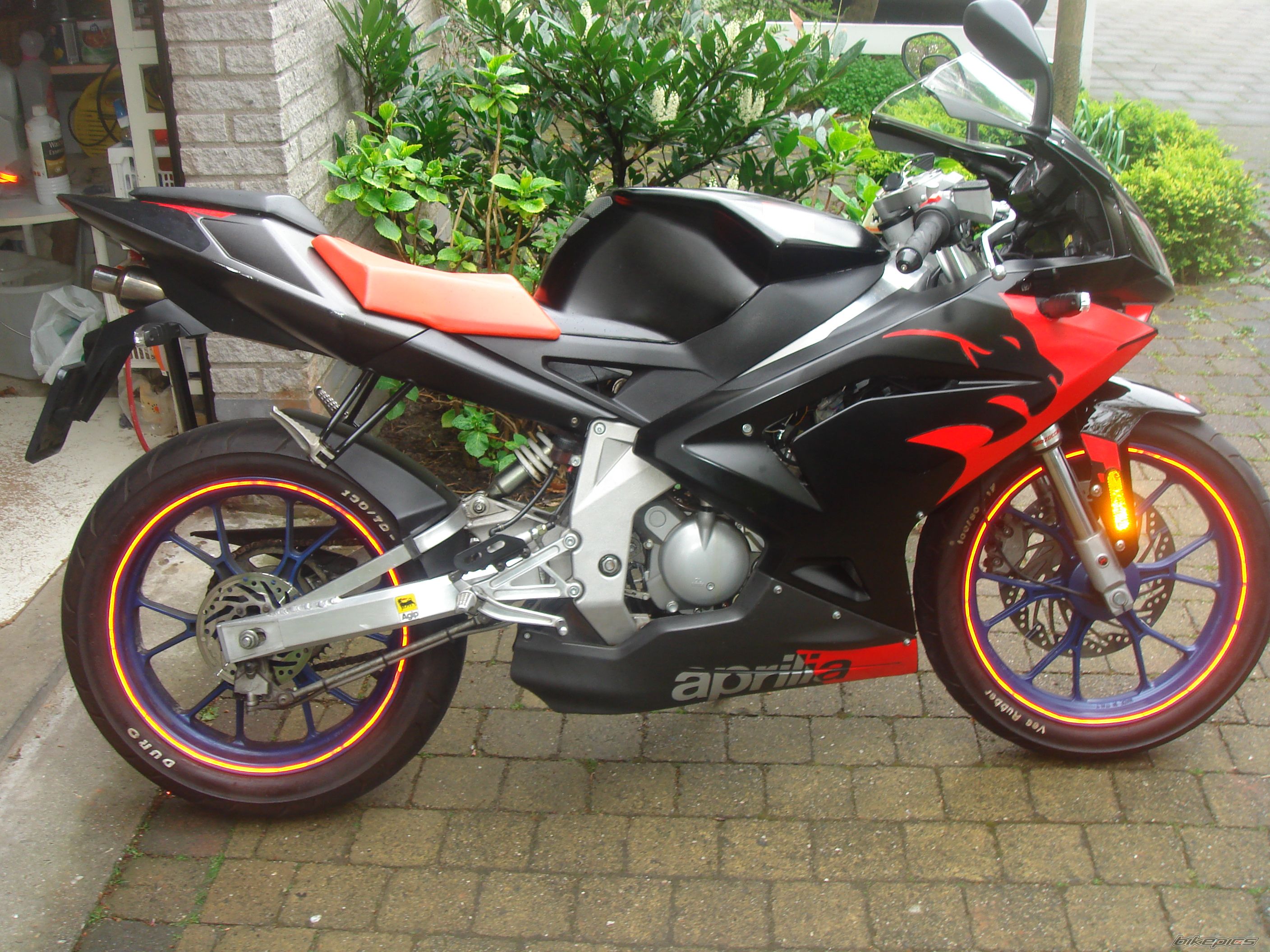 Photo 1272002