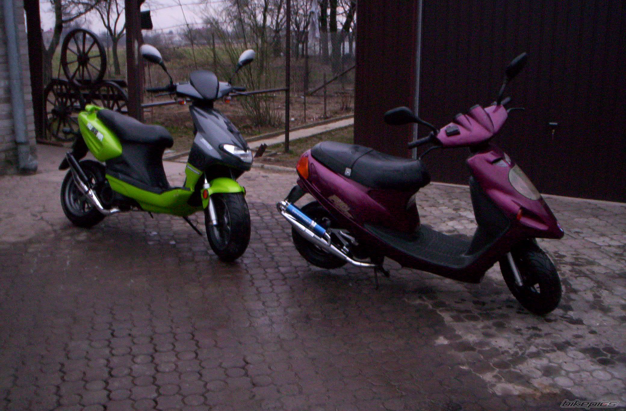 Photo 1272030