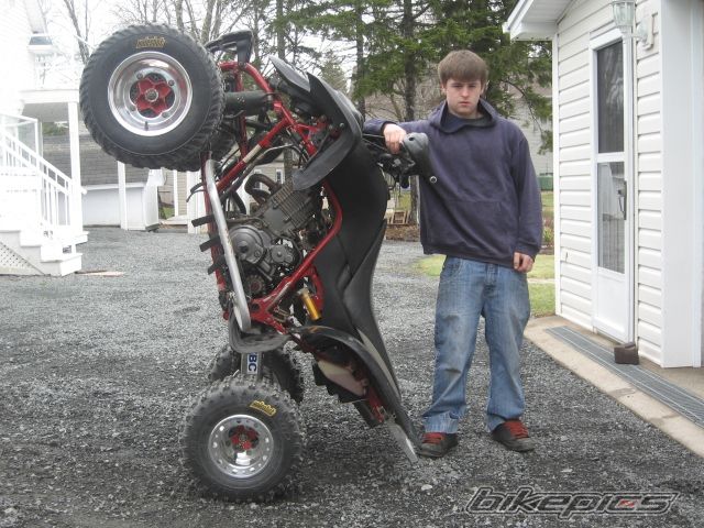 Photo 1272038