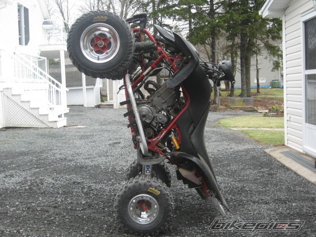 Photo 1272040
