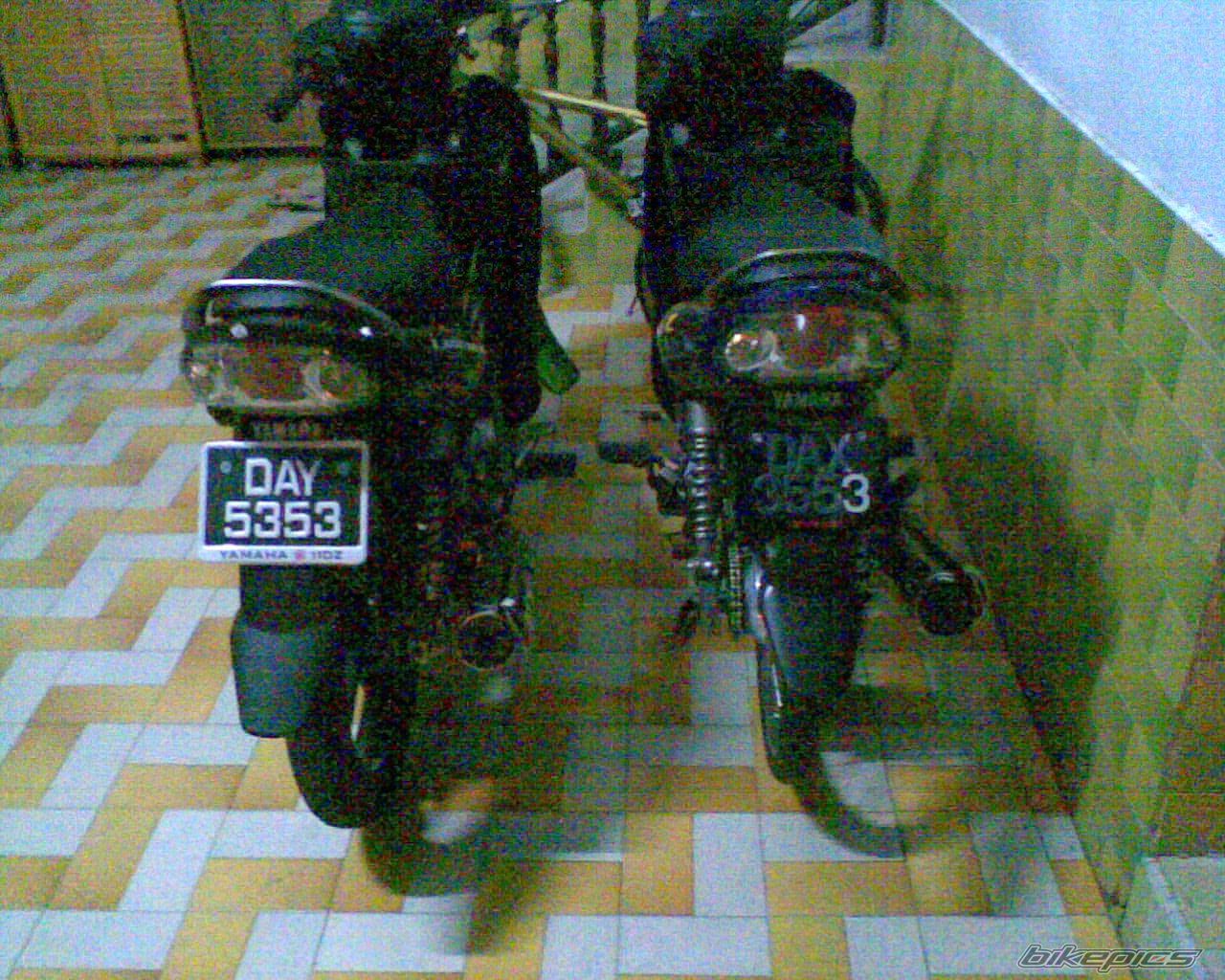 Photo 1272055