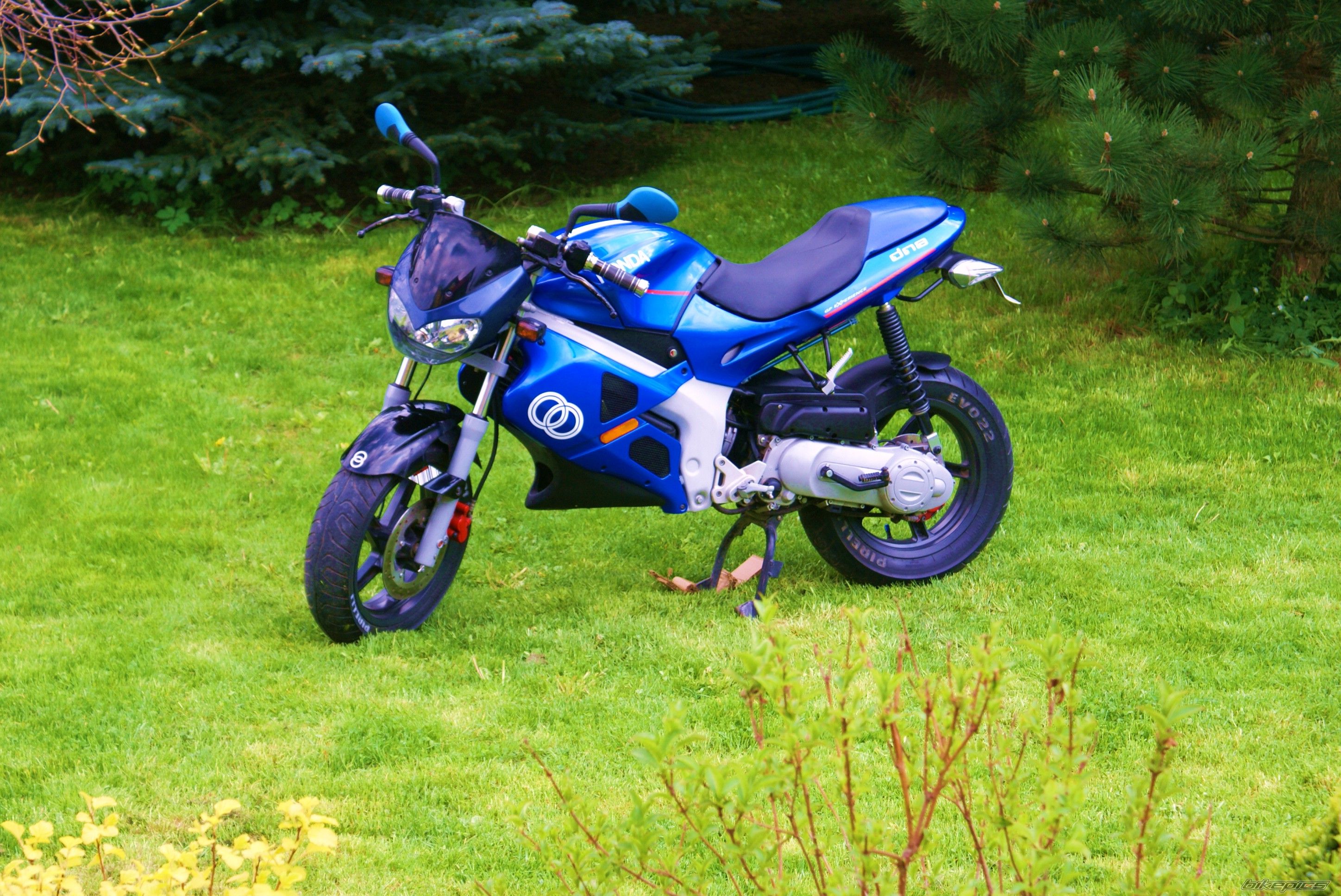 Photo 1272059