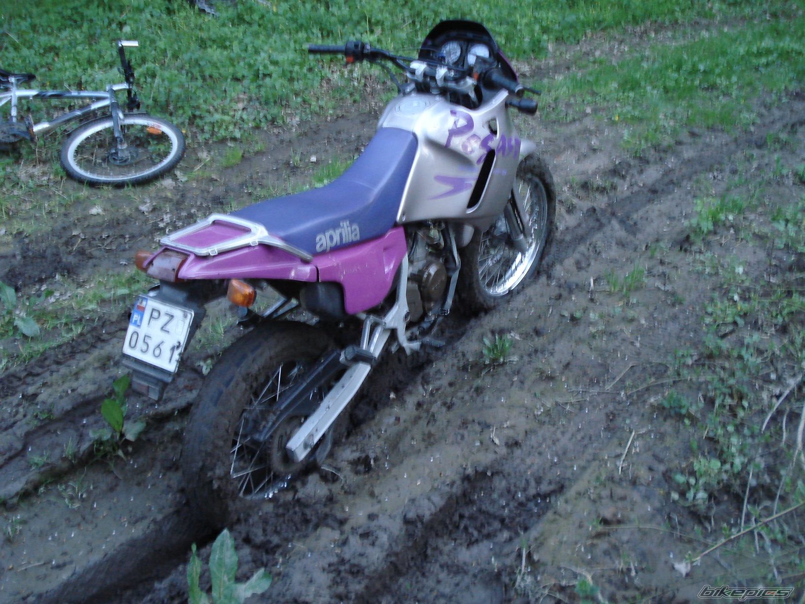 Photo 1272082