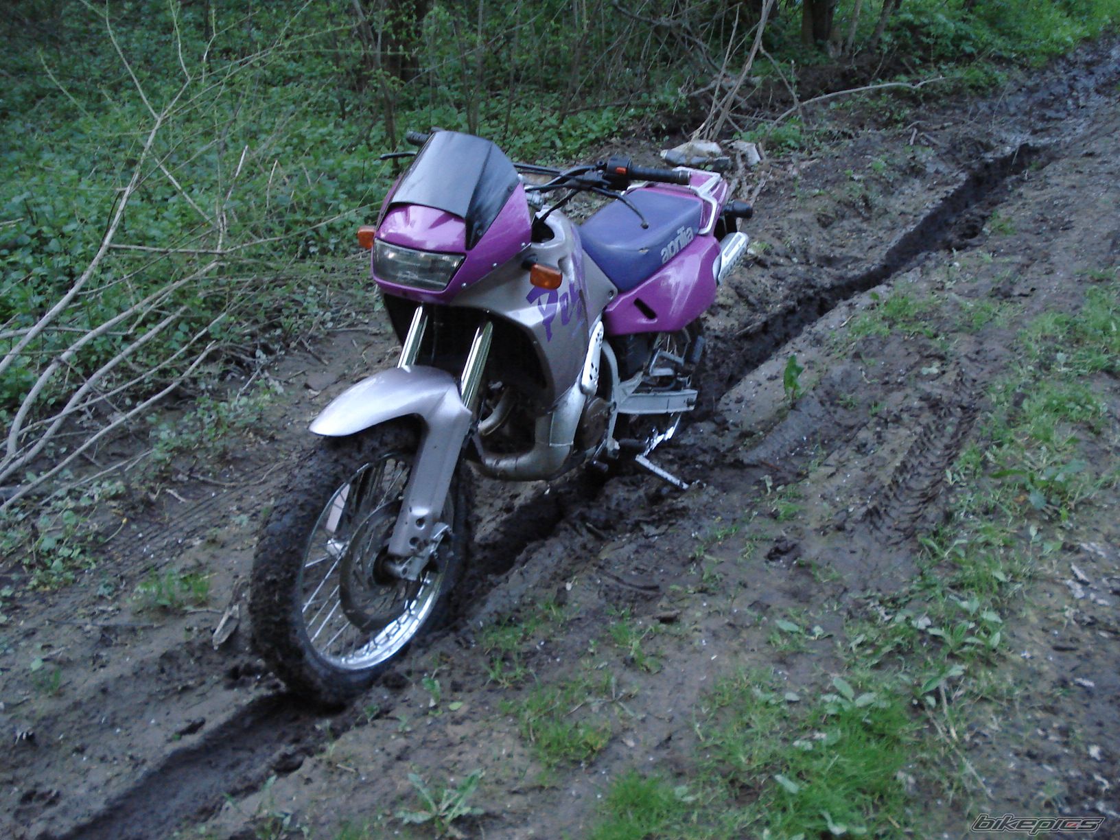 Photo 1272084