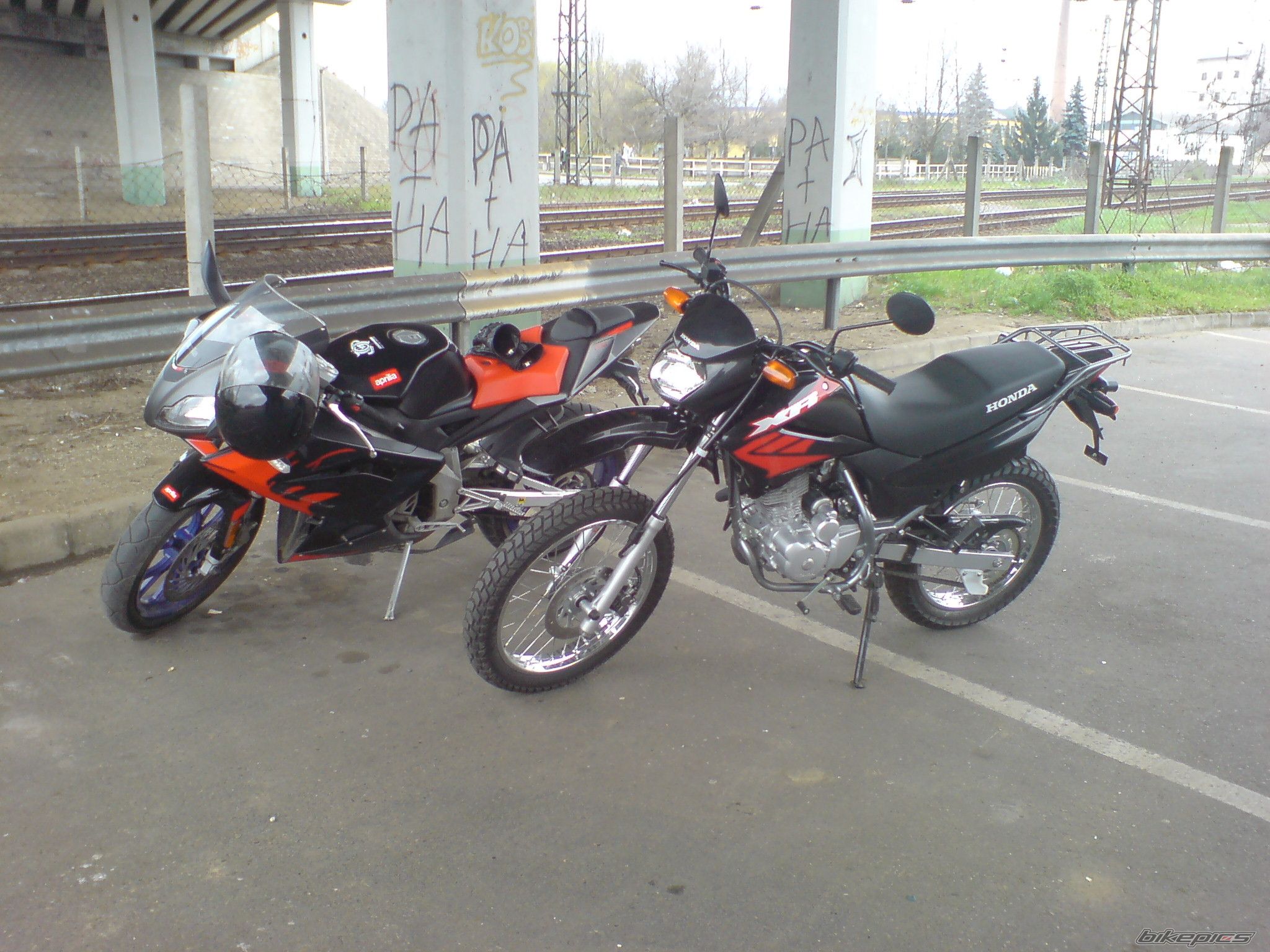 Photo 1272150